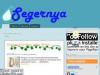Segernyaa's Avatar